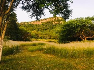 Posada San Miguel Paraguari Exteriör bild
